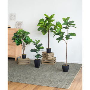 25x25x52"H Fiddle Fig Leaf Tree with 40 Leaves