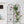 2 Pack Metal Garden Trellis 71