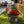 Sitting Owl with Tree Trunk Garden Planter