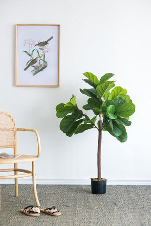 25x25x52"H Fiddle Fig Leaf Tree with 40 Leaves