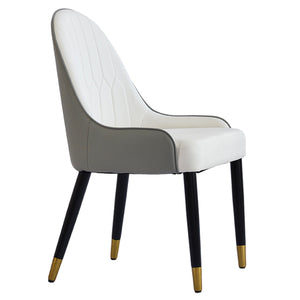 Modern Sponge-Filled Dining Chair, Solid Wood Metal Legs, Suitable For Restaurants, Living Rooms And Rooms (Set of 2)