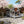 Dog Kennel House Dog House Outdoor