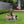Corgi Dog Planter Garden Decor