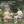 4-Piece Patio Furniture Set