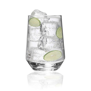 Tritan Lexington - Leadingware Unbreakable Wine Glass Plastic, 17Oz (Set of 4) - Clear