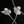 3D Star Wings Wired Headphone Decorations