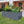 Large Garden Bed For Outdoor