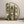 62.2 Inch Tall Metal Indoor Plant Stand with Grow Lights