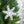 Set of 6 Iron Snowflake Hanger Christmas Tree Ornaments