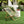 Bamboo Weaving Chair Set With Handwoven Rope For Patio And Living Spaces - Natural
