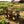 Wagon Cart Garden Cart Trucks Make It Easier To Transport Firewood Yellow+Black