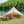 4 Season Bell Tent 13.1FT, Beige Waterproof Glamping Yurt Tent