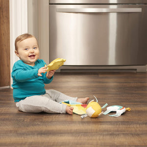 Evenflo Exersaucer Doorway Jumper with 4 Removable Toys and Mirror, Sweet Skies