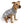 Dog Valentine Sweater