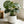 Assorted Sizes Magnesium Oxide Round Planter Set of 3