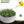 2PCS Tall Round Metal Raised Garden Beds