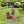 Sitting Puppy Solar Planter Outdoor Statue