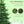 Nordic Pine Hinged Christmas Tree