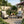 Outdoor Patio Furniture Set