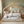 House Bed With Bookshelf Storage