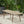 Placidity Outdoor Expandable Dining Table with Slatted Tabletop and Tapered Legs
