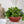 HC Companies 14 Inch Classic Plastic Garden Round Bowl Planter Pot, Chocolate