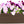 HC Companies VNP30000E21 29.5-Inch Fluted Plastic Venetian Flower Box, Chocolate