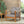 Acacia Wood Outdoor Club Chair with Handwoven Rope Accents & Curved Backrest