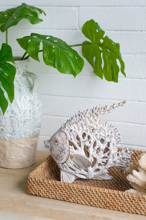 11x6.3x9.8" Decorative Polyresin Angelfish Sculpture