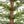 4Ft Pre Lit Artificial Christmas 2 Piece Set - Green