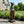 Greyhound Dog Statue