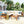 GO 4 Pieces Outdoor Acacia Wood Sofa Set with Coffee Table