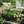 Galvanized Raised Garden Bed 8x4x1ft