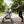 4-Wheel Foldable Pet Stroller for Dogs and Cats