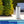 Hayward CCX1500RE 150 Square Foot Replacement Swimming Pool Filter Cartridge