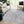 Marfi - Trendy Oriental Rug
