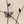 4 Pack Metal Garden Trellis