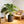 Large Round Planters Set of 2