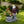 Standing Eagle Statue Garden Planter