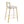 Modern Charlotte - Contemporary Fixed Height Counter Stool (Set of 2)