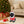 Christmas Pug Statue - Holiday Dog Figurine