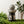 Outdoor Garden Lantern with Warm LED Light