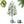 Artificial Olive Tree with Water Droplets