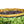 Algreen Valencia 12x18 Inch Round Planter Pot w/ Roots Potting Soil, 1.5 CuFt