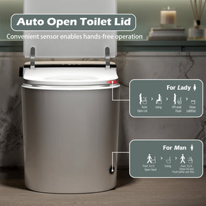 Smart Toilet With Bidet Built-In, Auto Flush, Heated Seat & Warm Air Drying