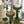72in Cactus Cat Tree Tall Cat Tower for Indoor Cats