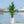 Indoor Outdoor Planter With Automatic Watering System