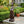 Greyhound Dog Statue