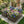 8x4x2 FT Woodgrain Galvanized Raised Garden Bed Set