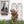 2 Pack Metal Garden Trellis 86.7